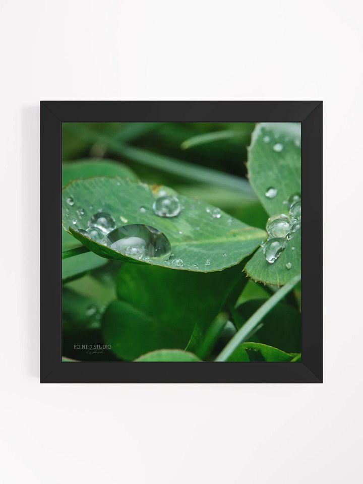 Dew Gems #8 - Framed Print product image (1)