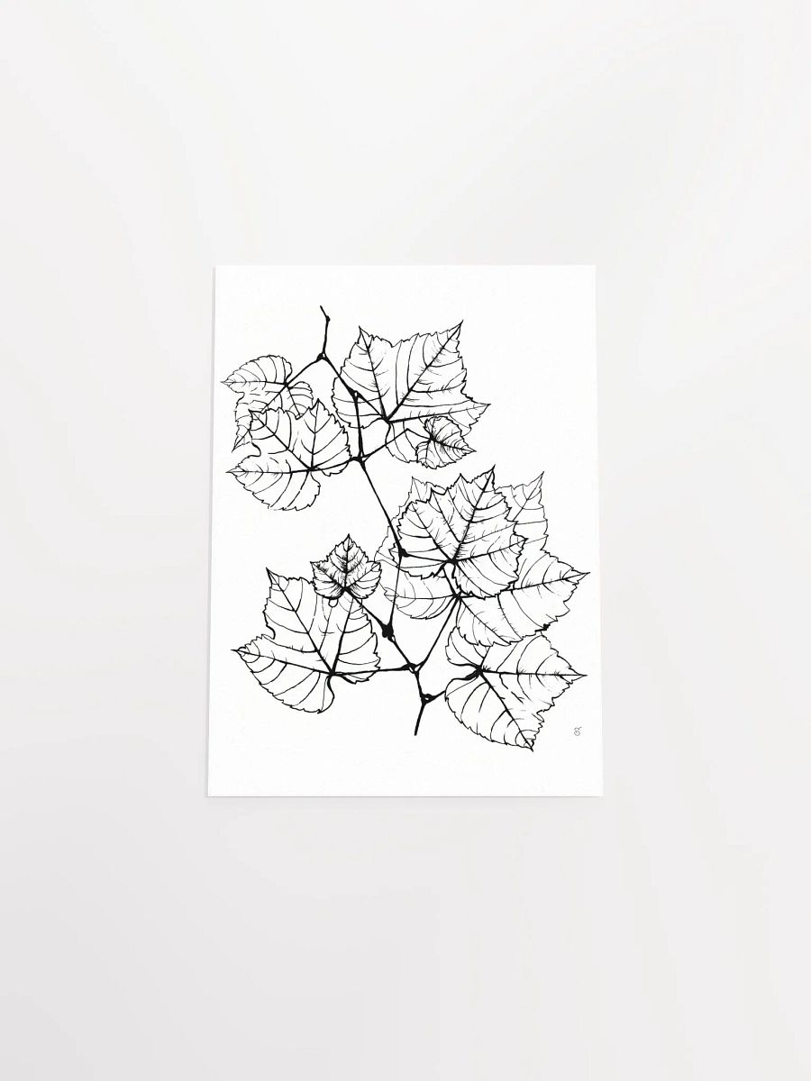 Veined Botanical Branch Matte Poster - Grape Leaves Elegant product image (4)