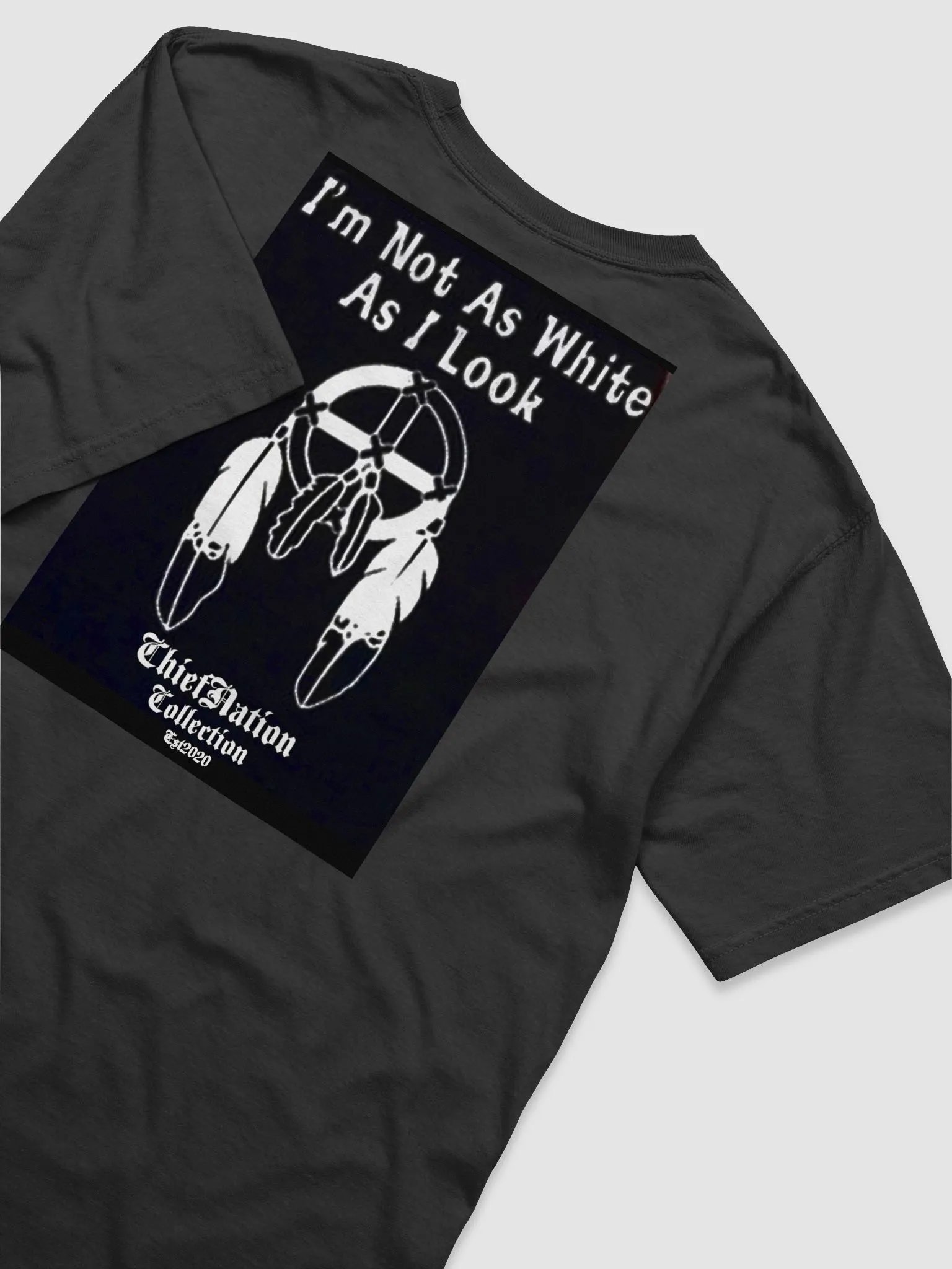 Native Identity Dreamcatcher T-Shirt product image (19)