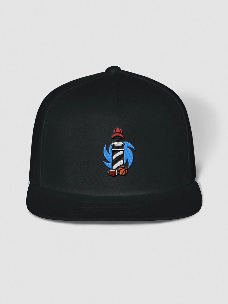 Logo V1 Hat product image (4)