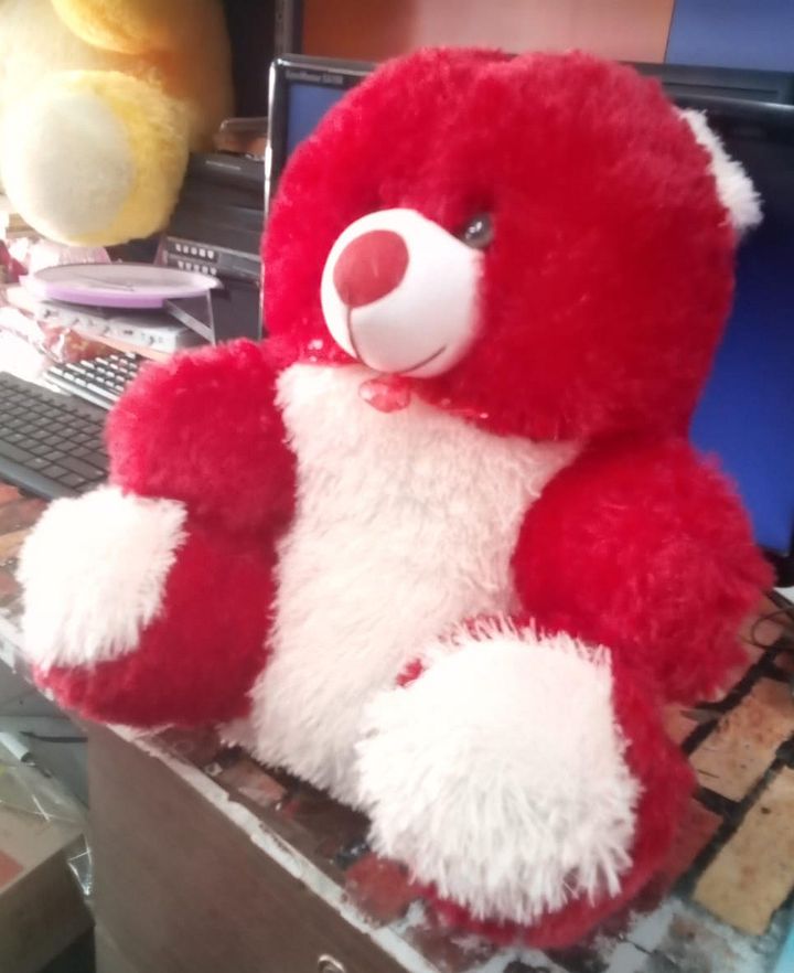 TEDDY BEAR product image (2)