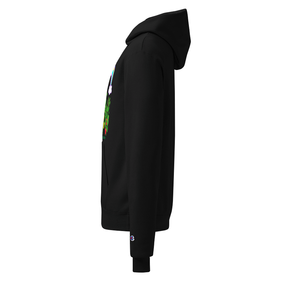 Rainbow Harvest Unisex Hoodie product image (3)
