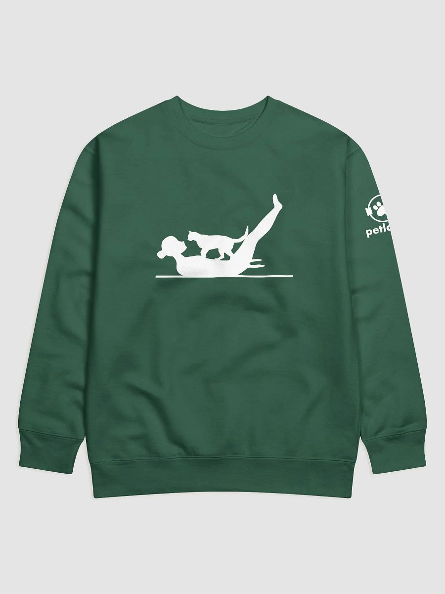 Catlates 100 Sweatshirt product image (1)