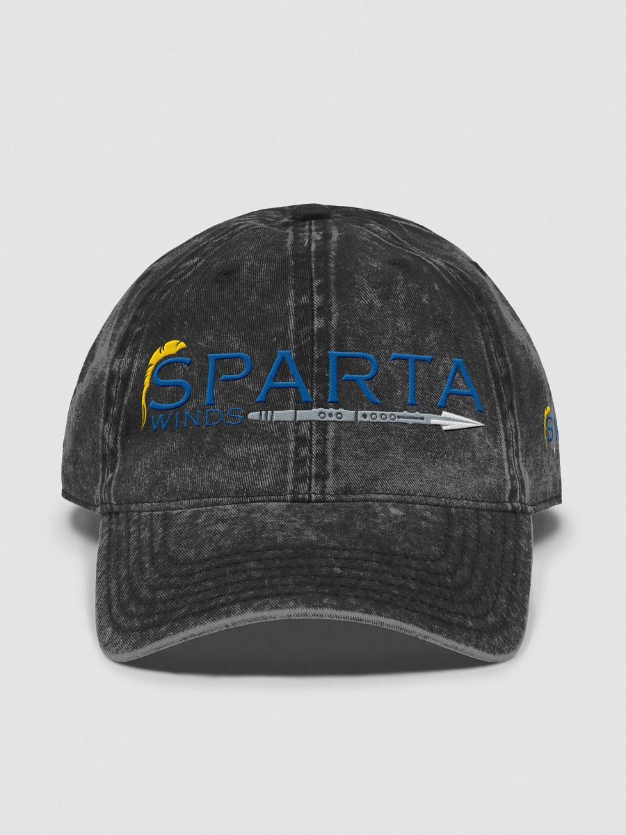 SW Vintage Wash Hat product image (3)