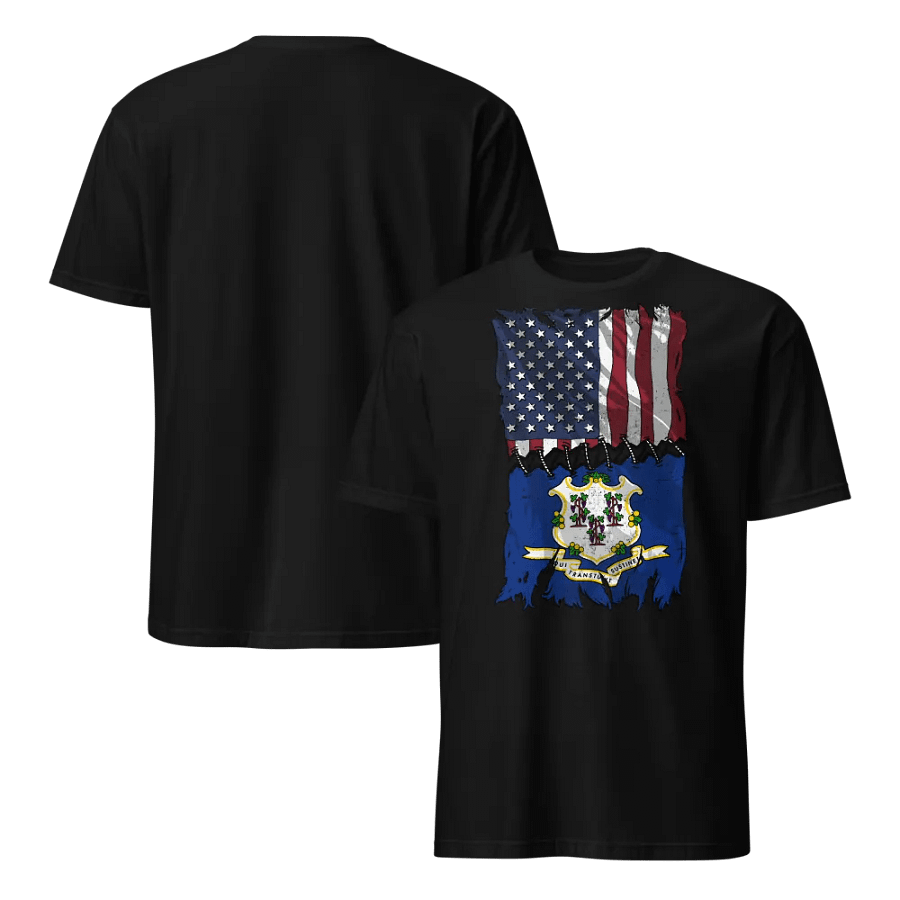 Connecticut Stitch Flag USA product image (6)