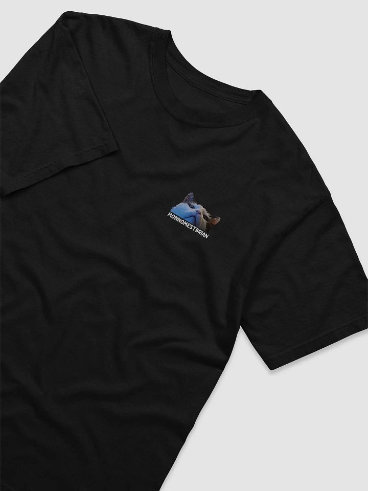 T-SHIRT - MONNOMESTBRIAN - UNISEX product image (1)