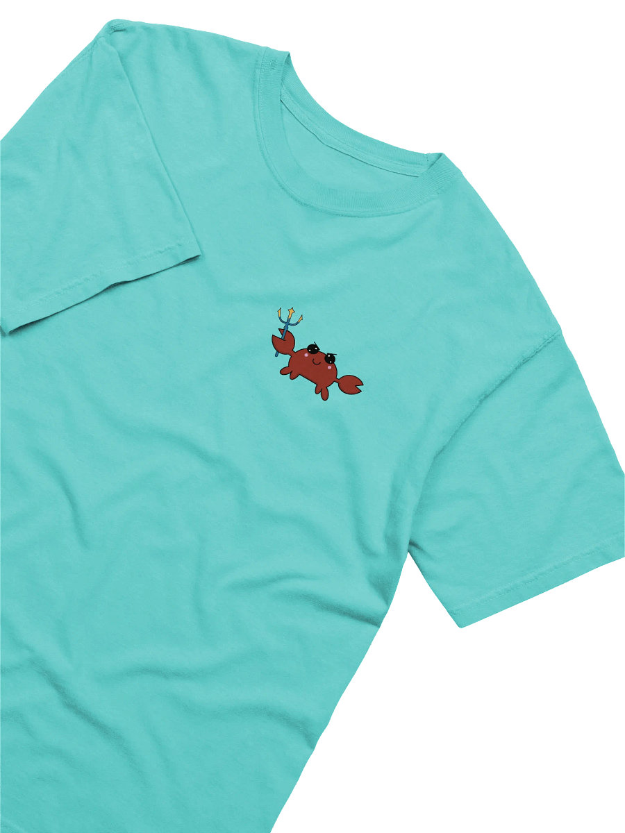 Aqua Team logo shirt product image (3)