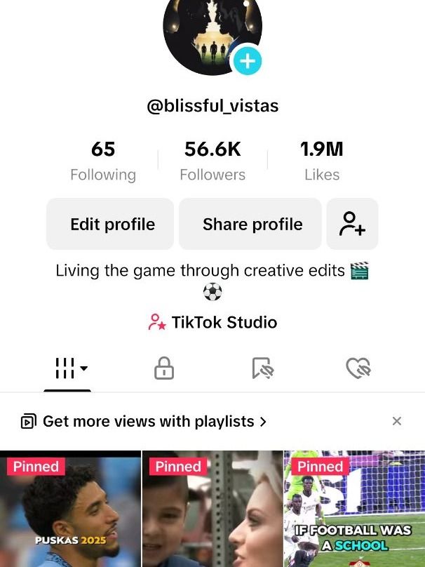 ⚽ Blissful_vistas Tiktok page for sale product image (1)