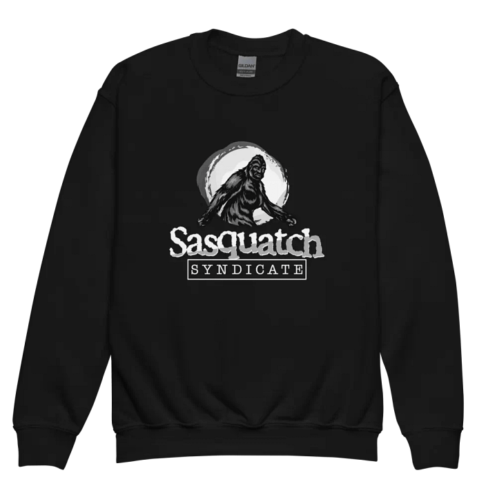 Kids Sweatshirt product image (2)