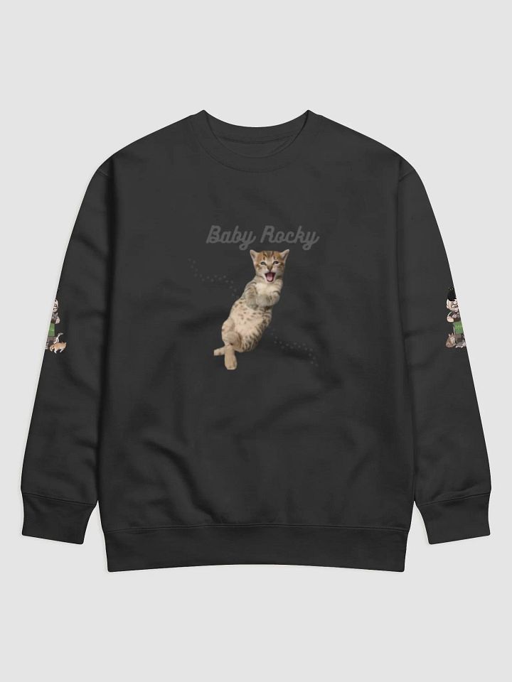 Baby Rocky Sweatshirt product image (6)