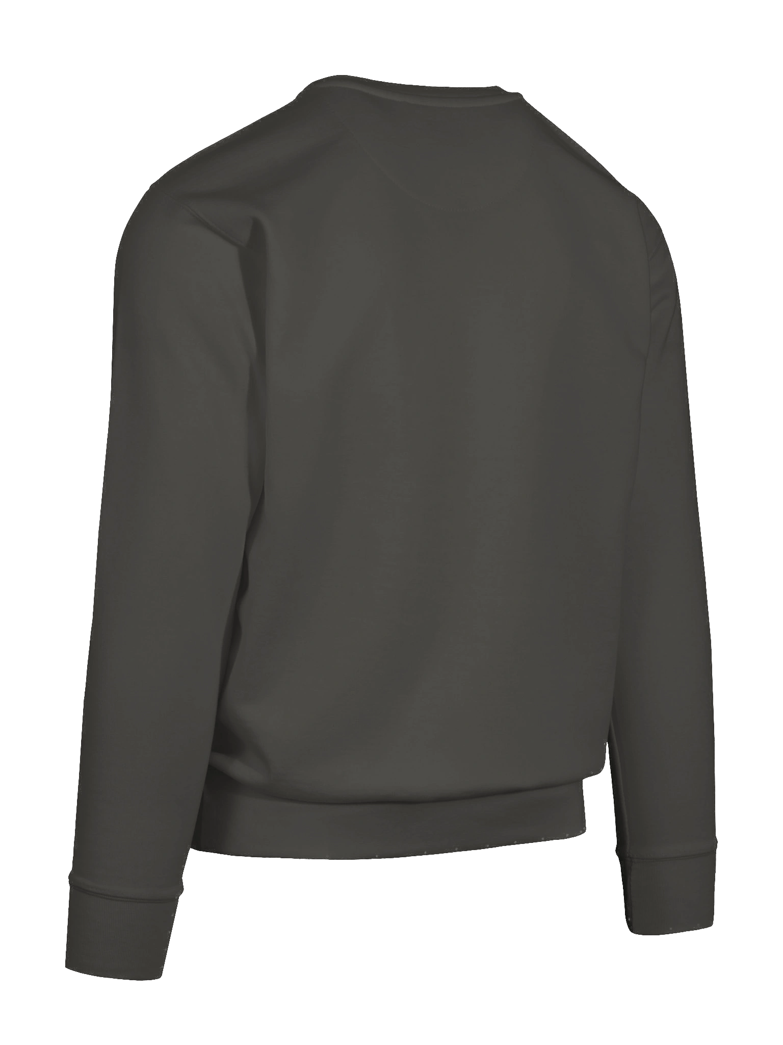 Birthday Bazaar Bonanza Crew Neck product image (70)
