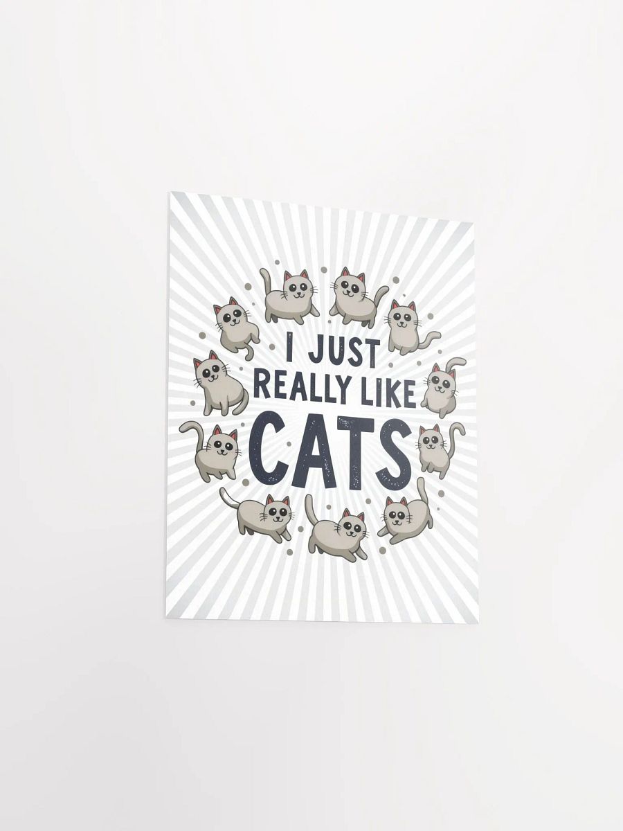 I Just Really Like Cats Poster product image (12)