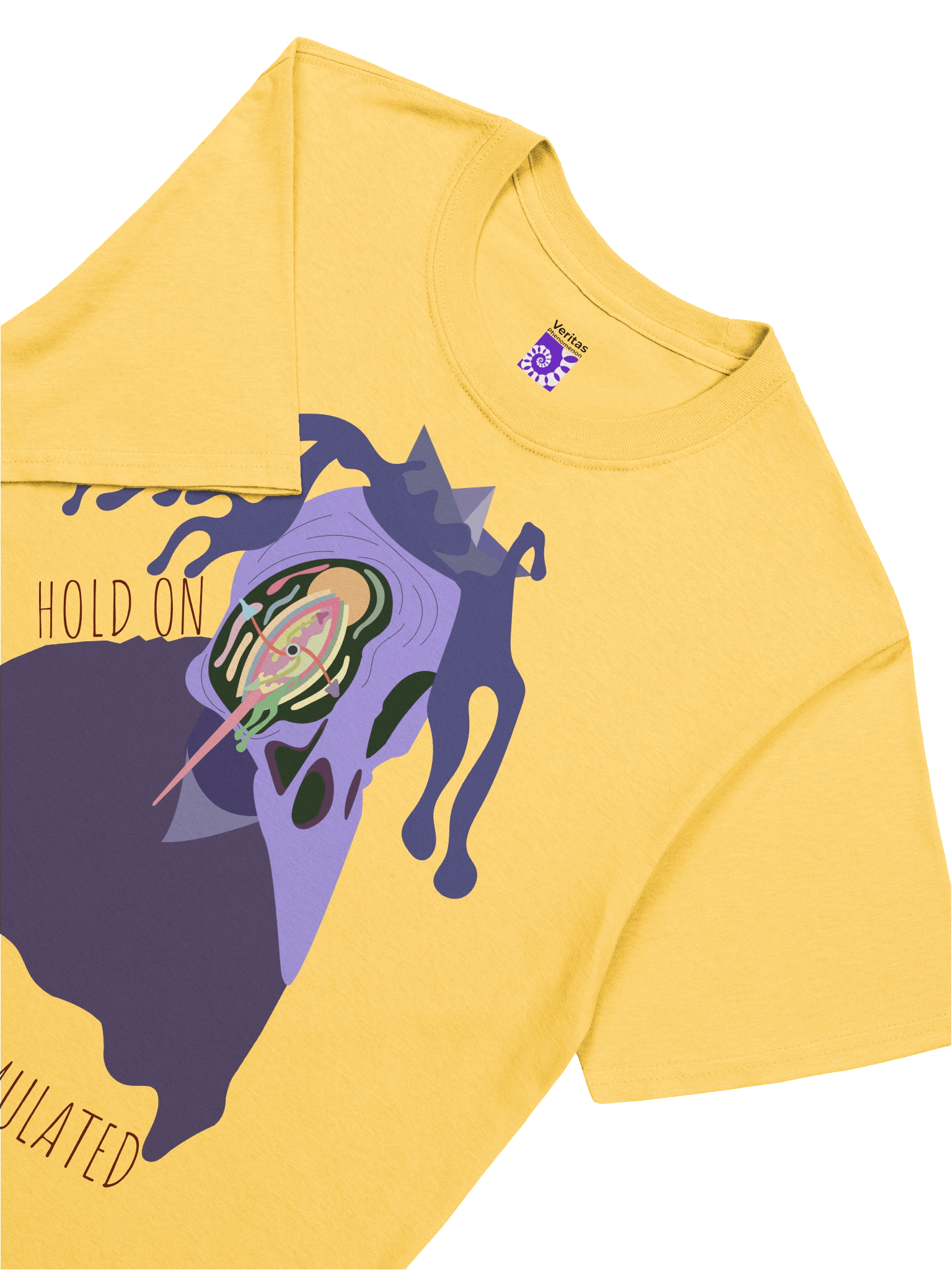 Hold on, I am overstimulated teeshirt product image (48)