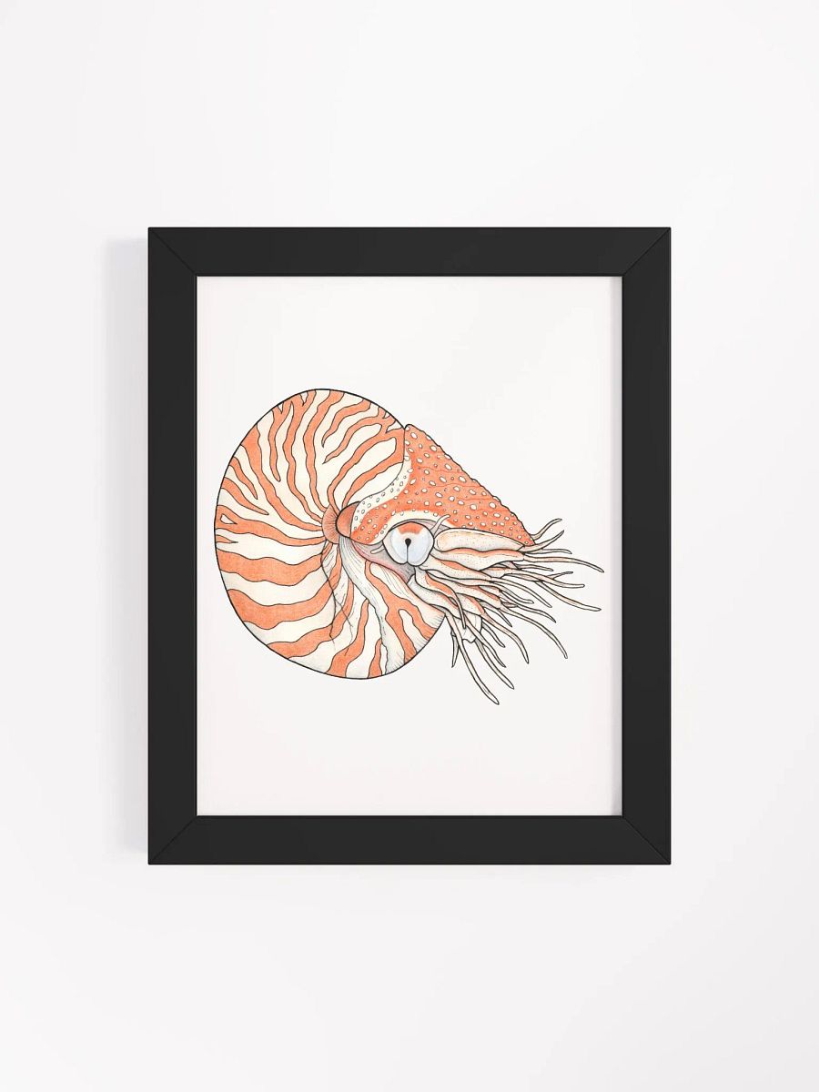 Ancient Mollusk framed print product image (4)
