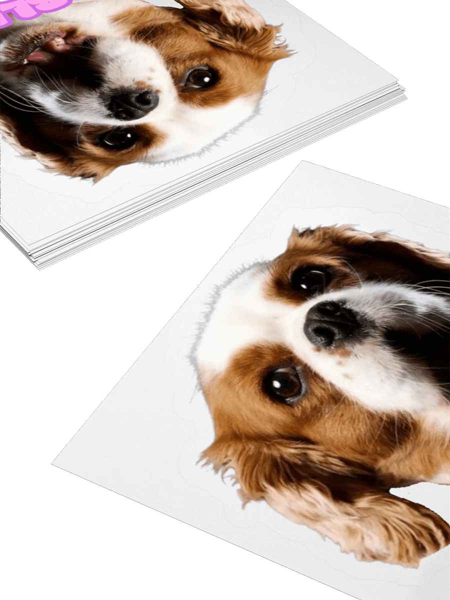 Angry boi stickers product image (4)