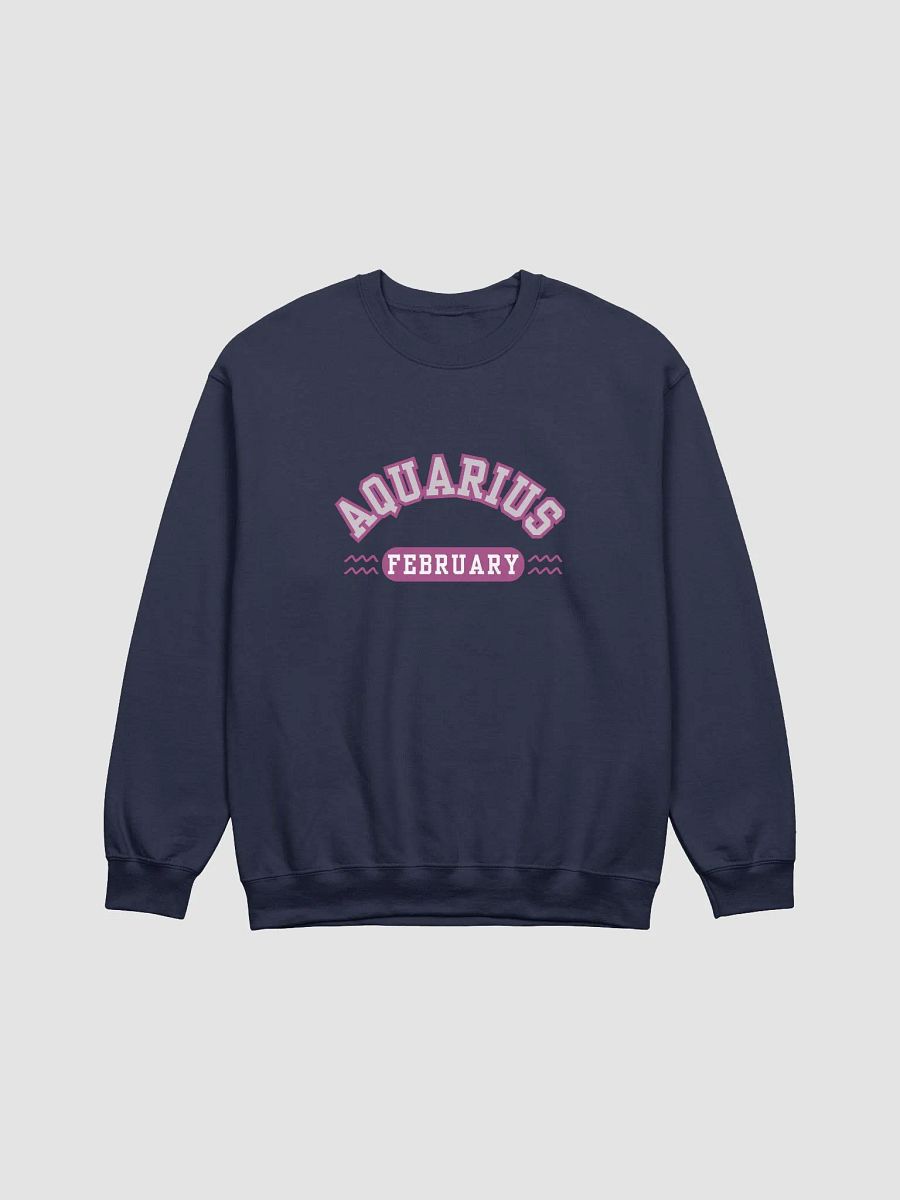 Aquarius February Zodiac Sign Sweatshirt product image (21)