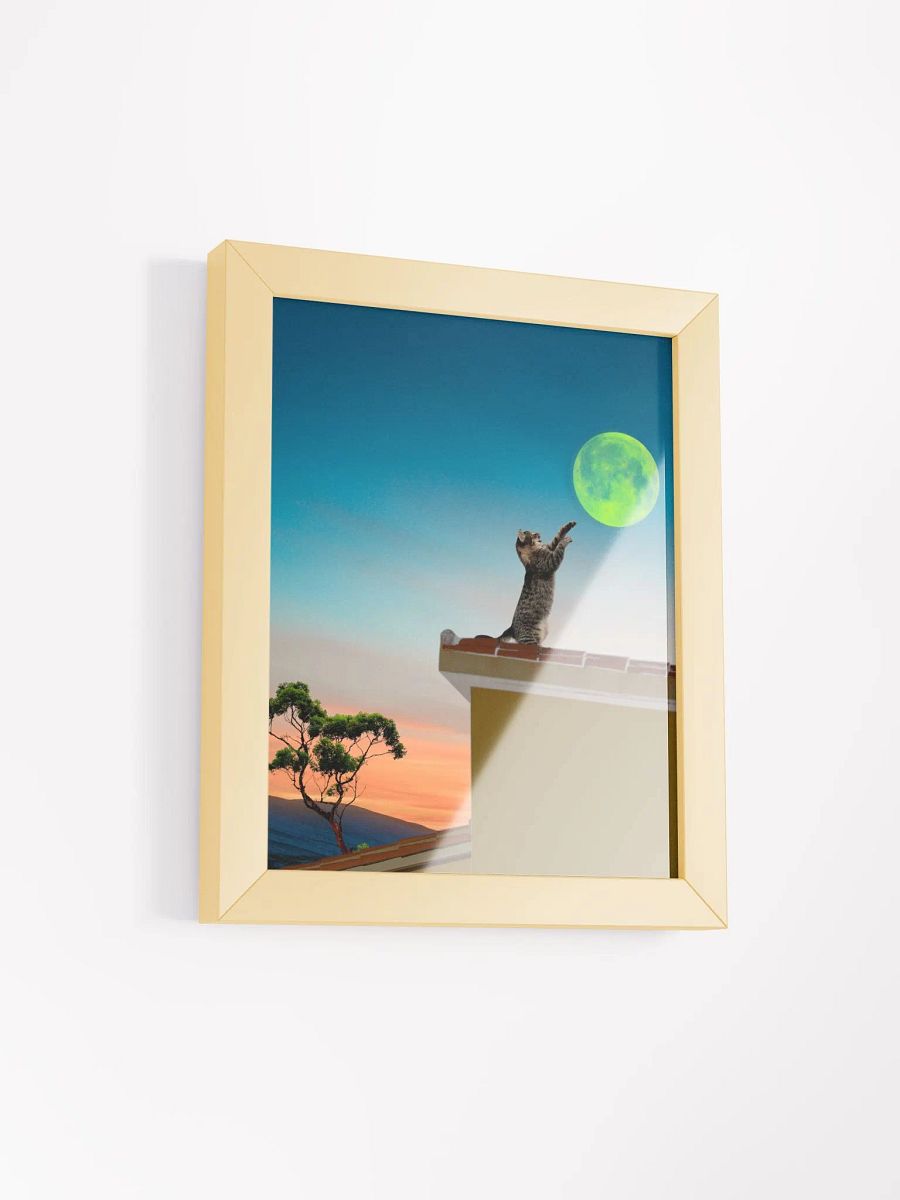 Shoot for the moon product image (4)
