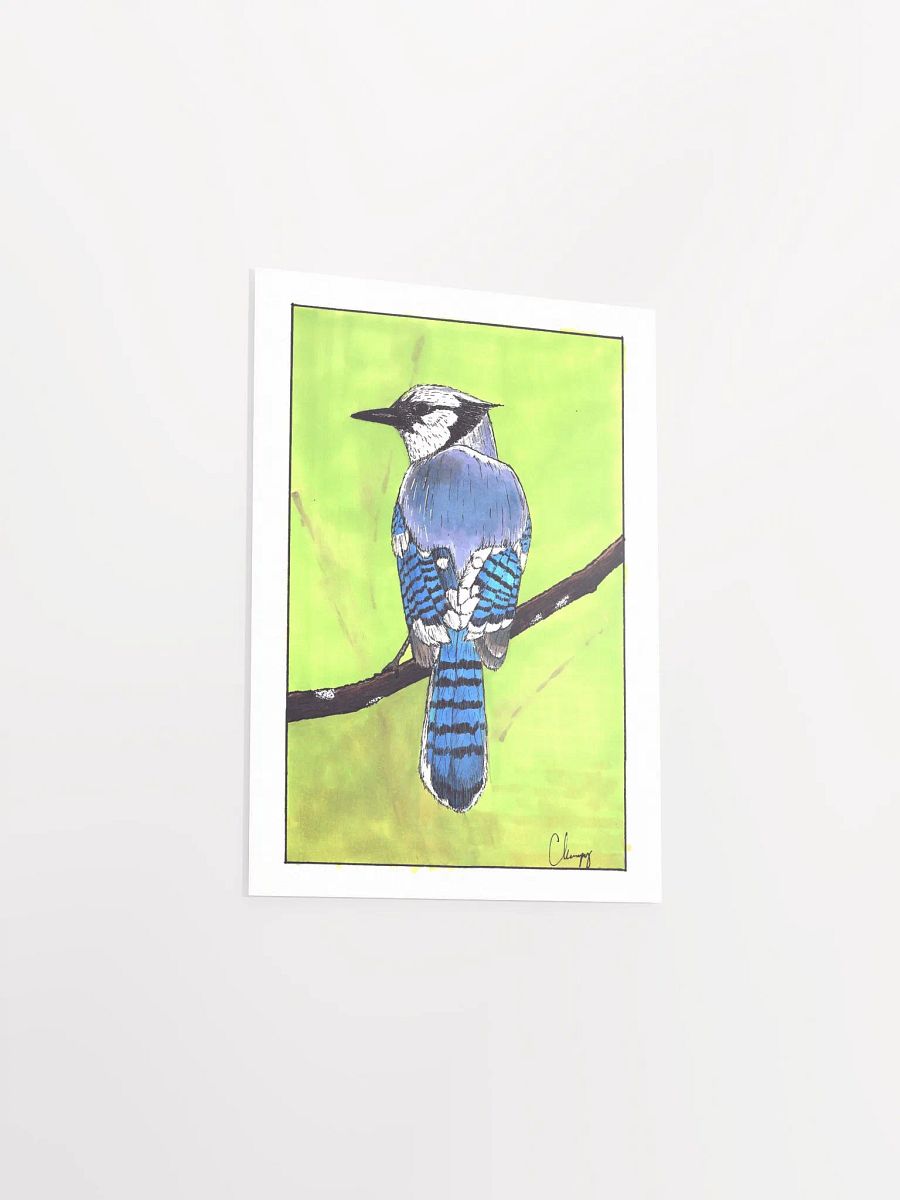 Blue Jay Print product image (3)