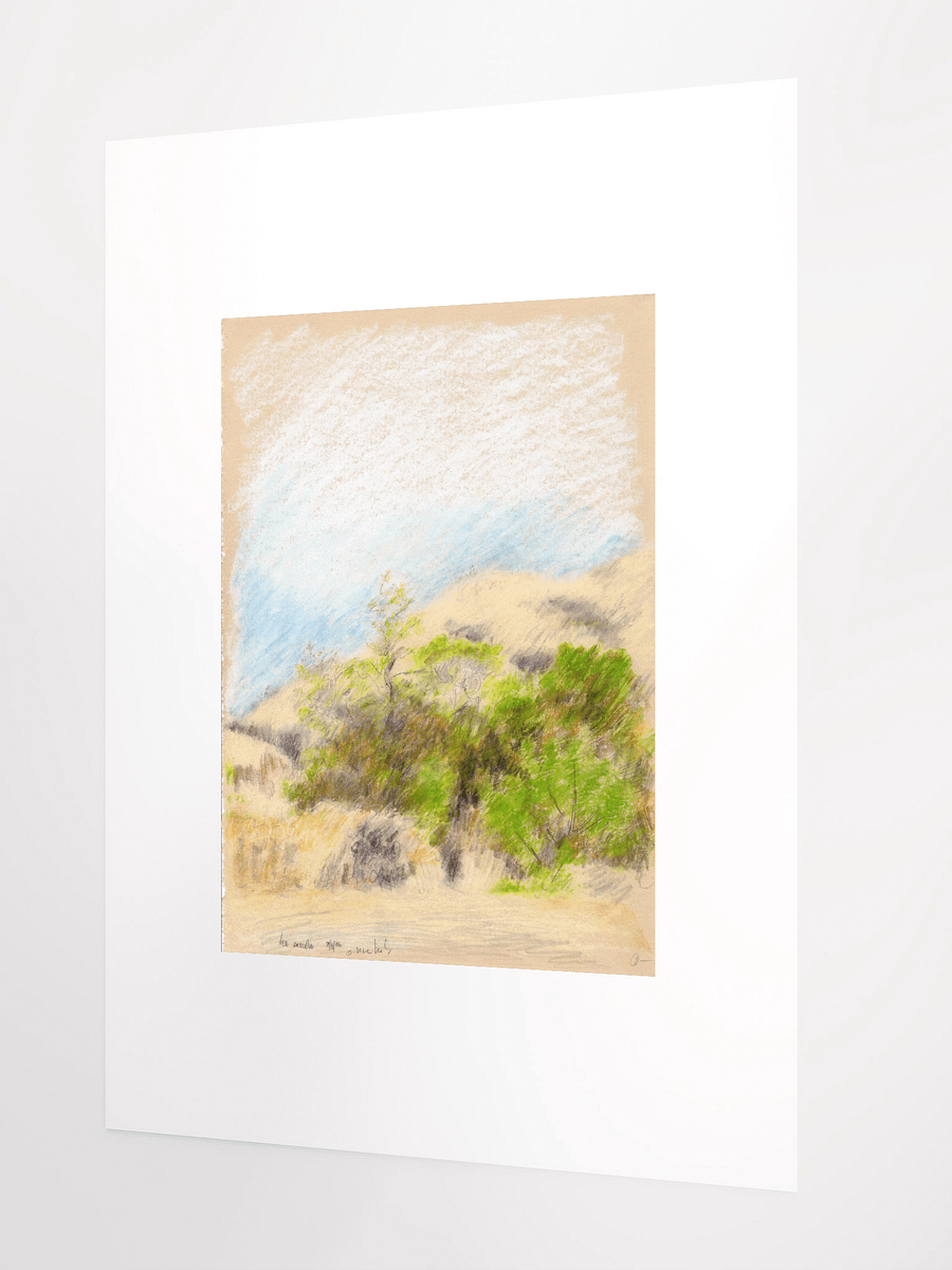 Leo Carillo State Park, CA #1 09.08.86 print product image (3)