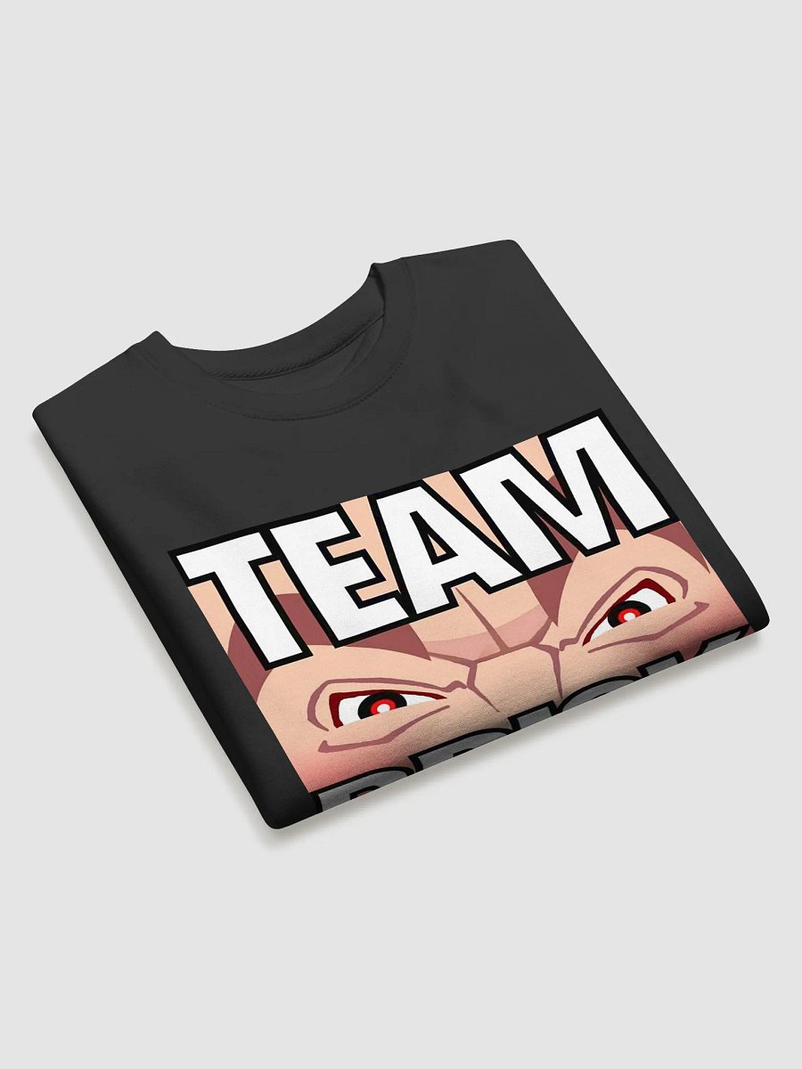 Team Brisk Sweater product image (3)