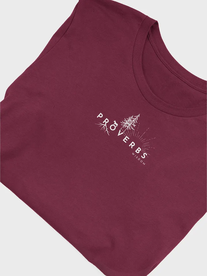 Proverbs Wisdom Printed Bella-Tee product image (6)