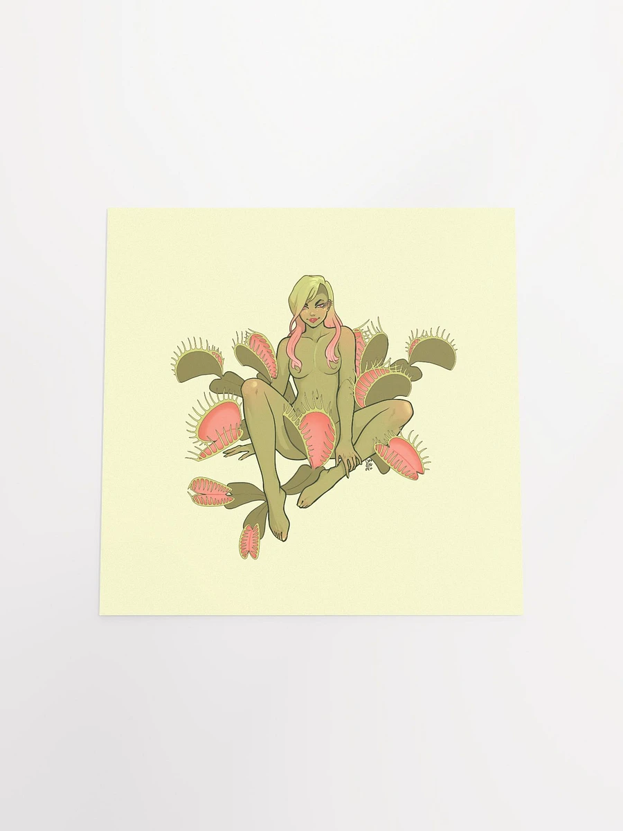 Dionaea Print product image (4)