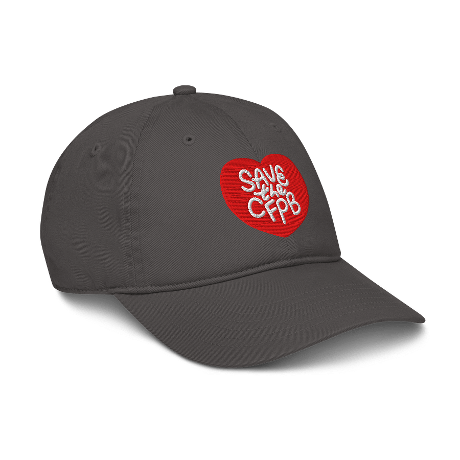 Save the CFPB Baseball Hat (100% Organic Cotton) product image (6)