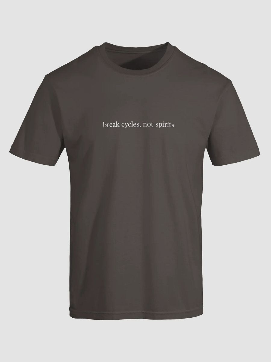Break Cycles Not Spirits Tee product image (2)