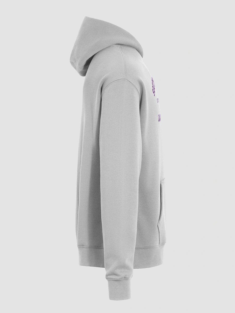 SWLAW Collegiate Seal 2- Hoodie product image (8)