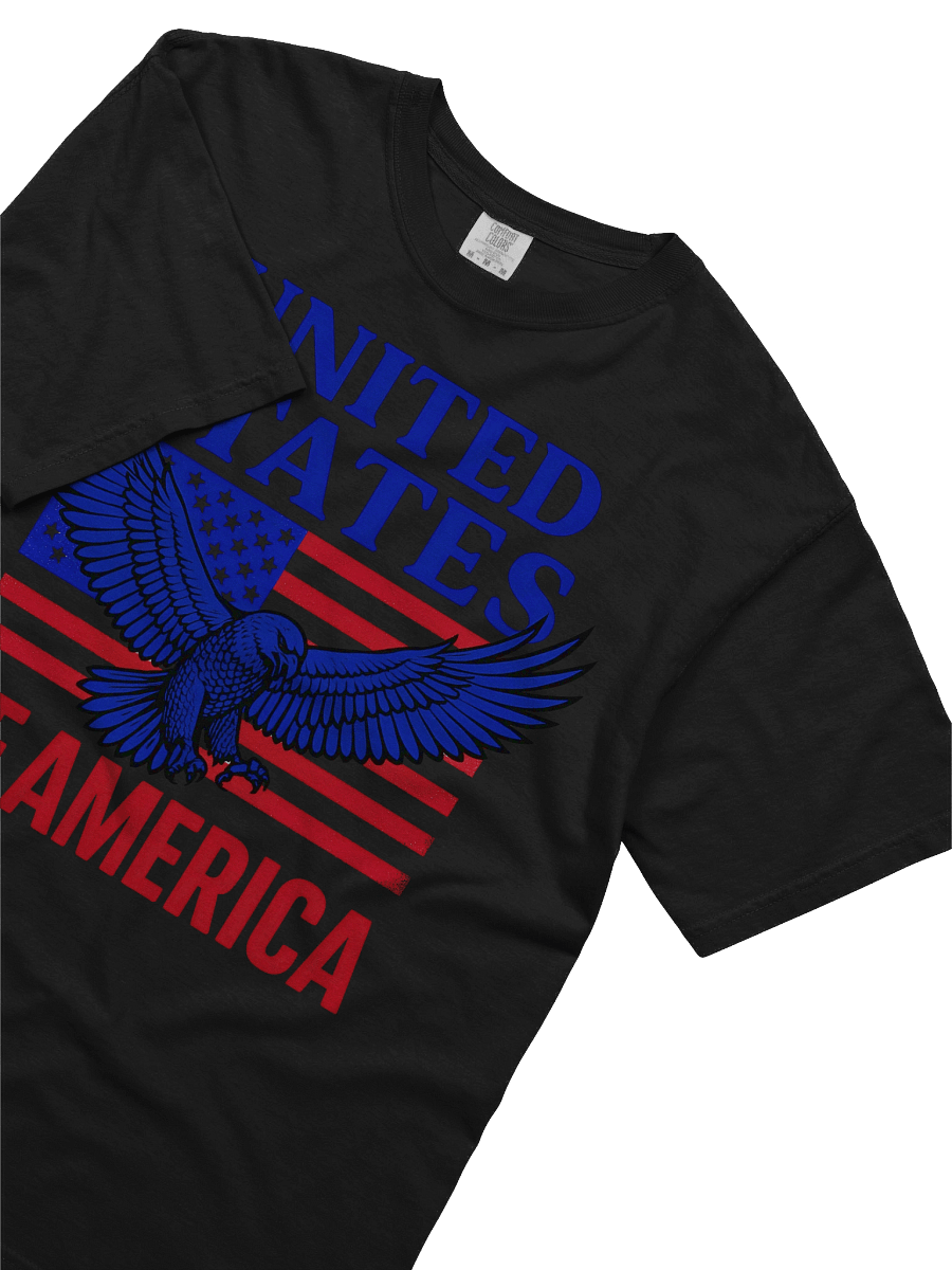 Patriotic Eagle Graphic Tee product image (27)