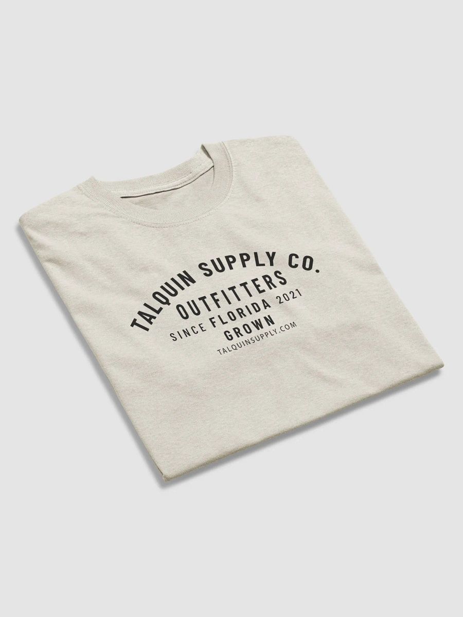 The Basic Talquin Tee product image (4)