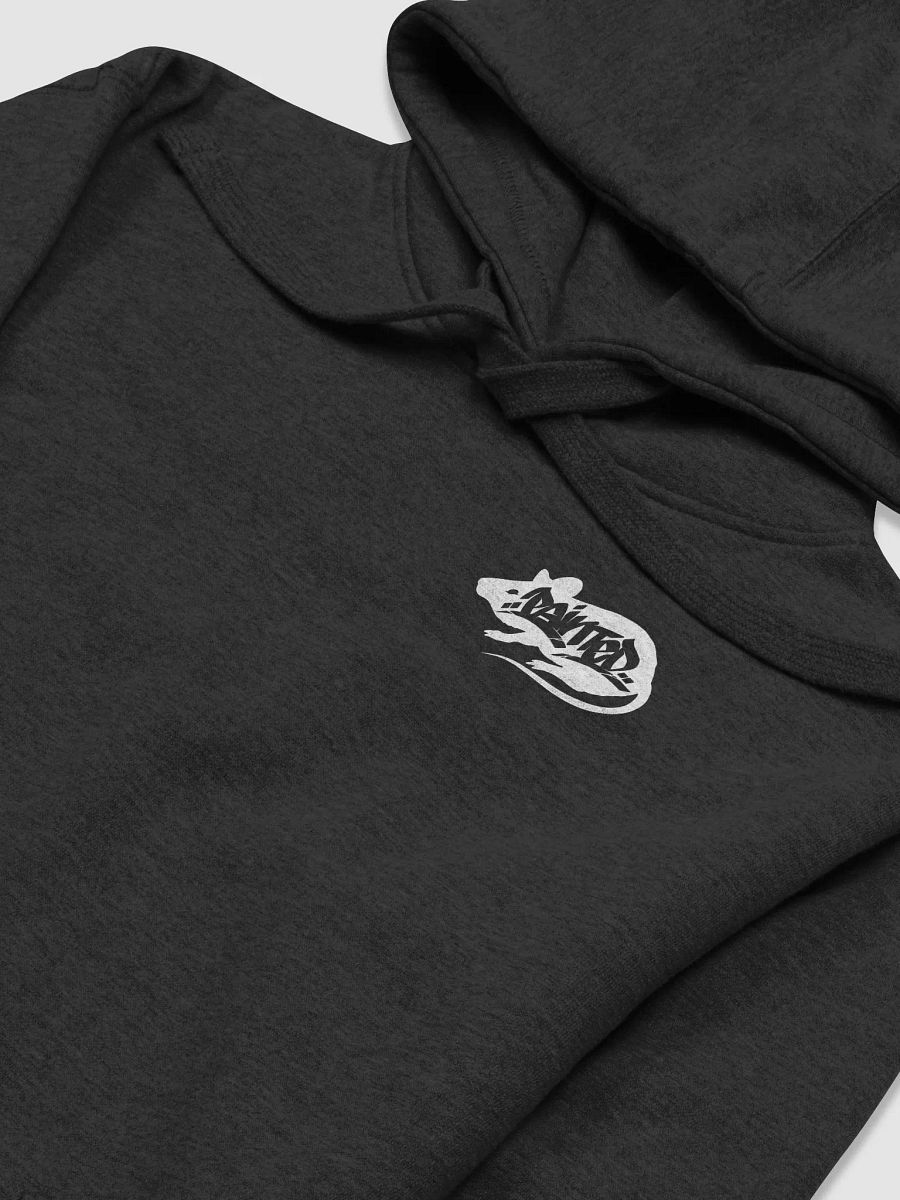 River Valley/Painted Rat Hoodie product image (3)