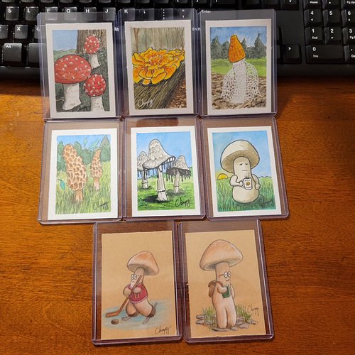 Game of Shrooms clues, round 1!
You'll find these free original art cards around #Shippensburg this Saturday June 14. I'll po...