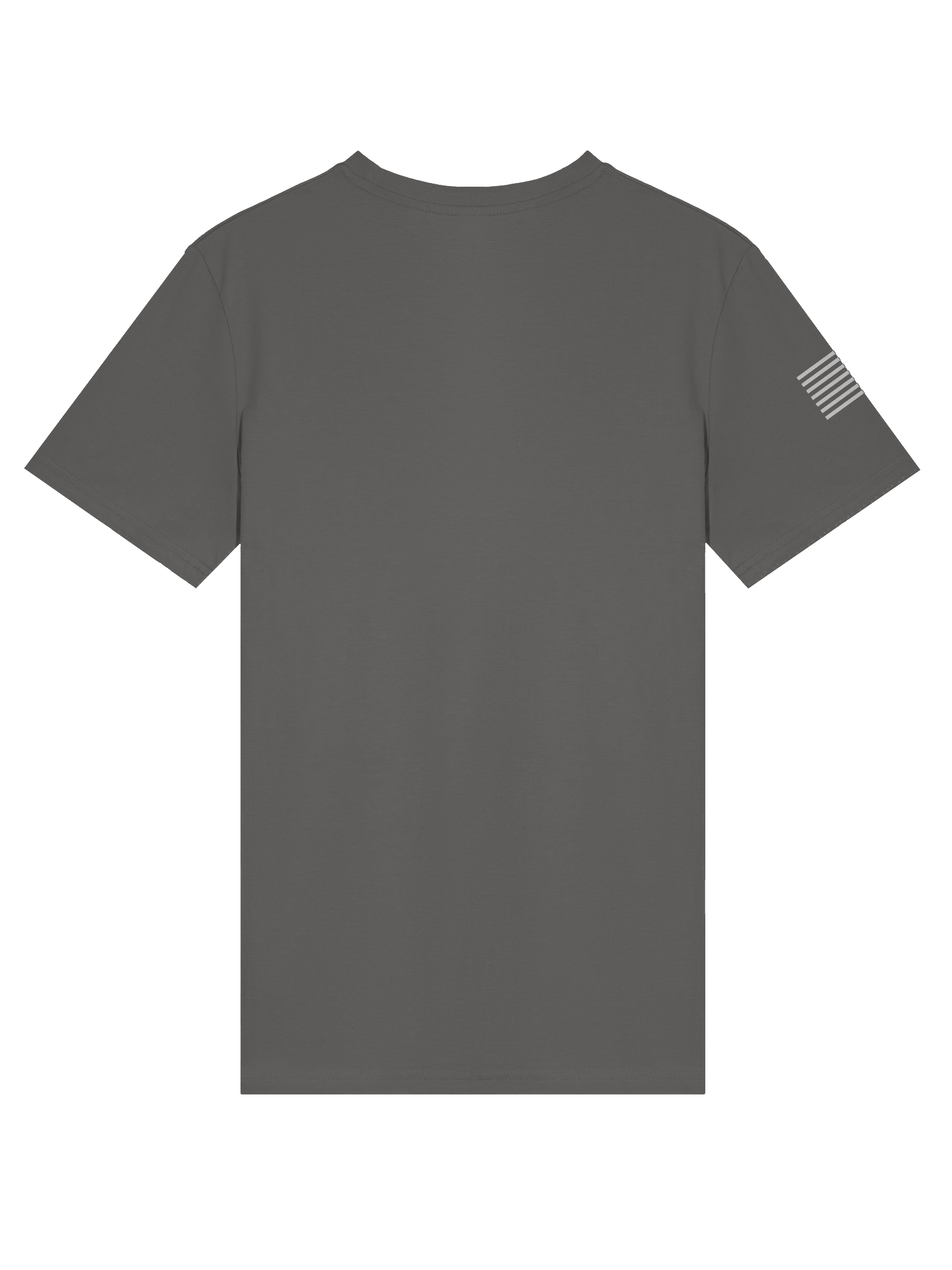 No Kings Unisex Organic Battle Tee product image (6)