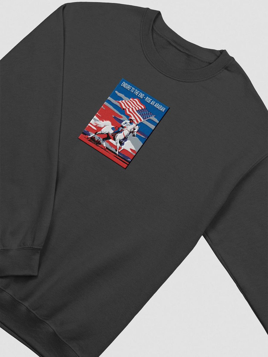 Enduring Spirit Crewneck Sweatshirt product image (28)