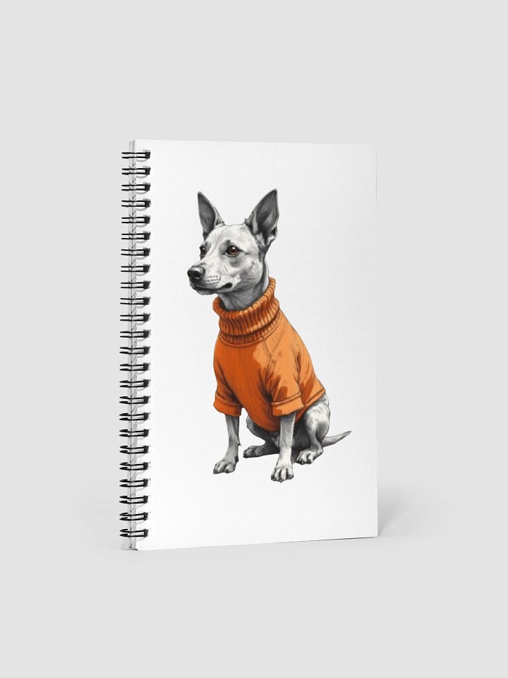 Potcake wearing orange shirt product image (1)
