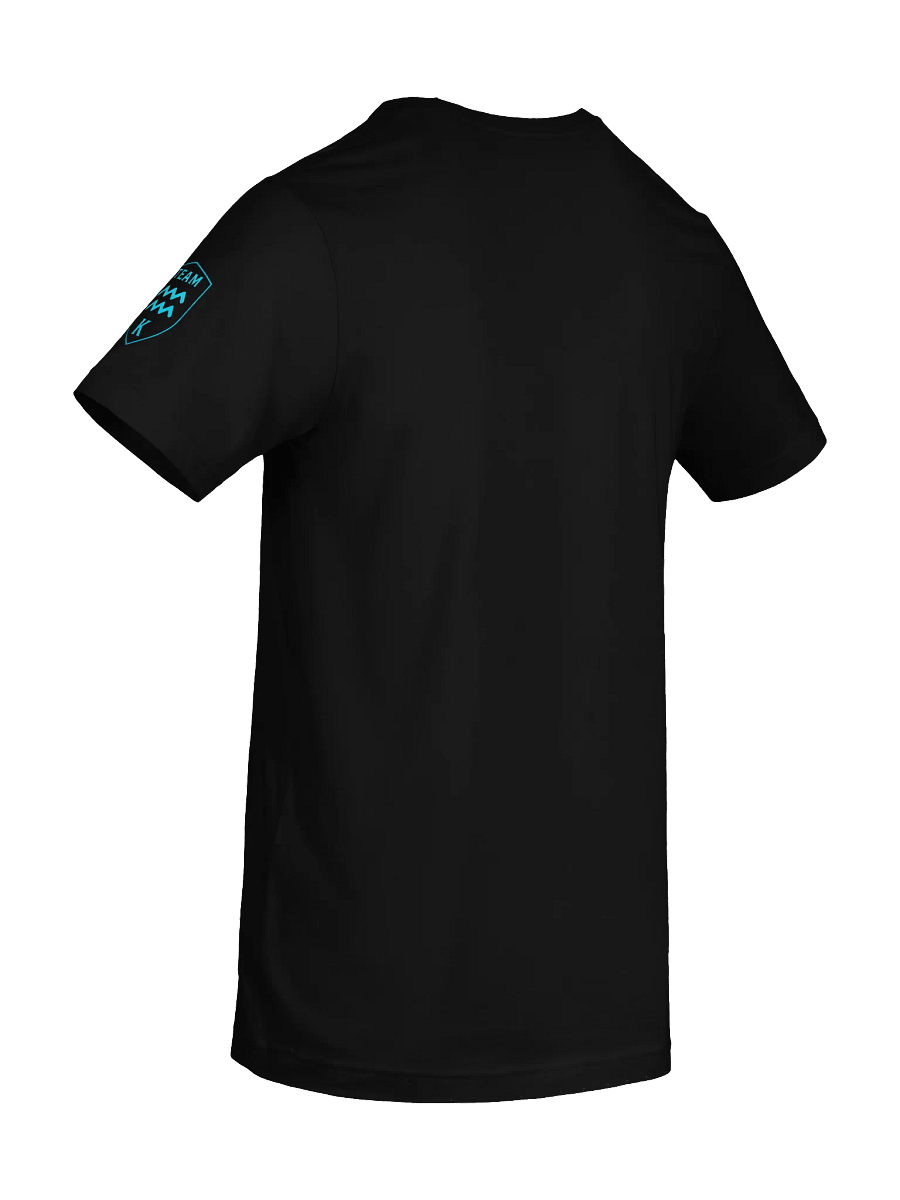 TEAM K Aquarius ZODIAC T-Shirt product image (8)