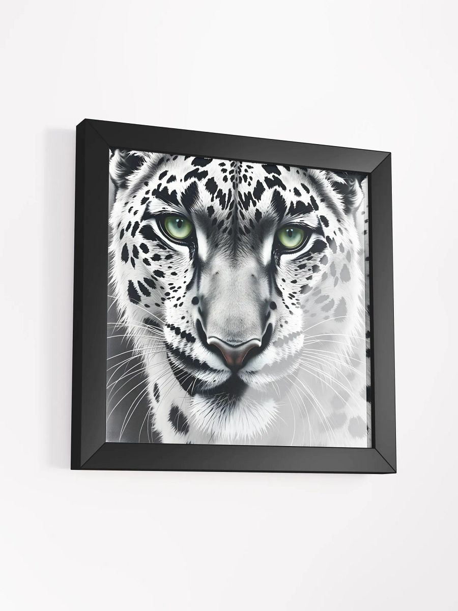 Snowleopard product image (38)