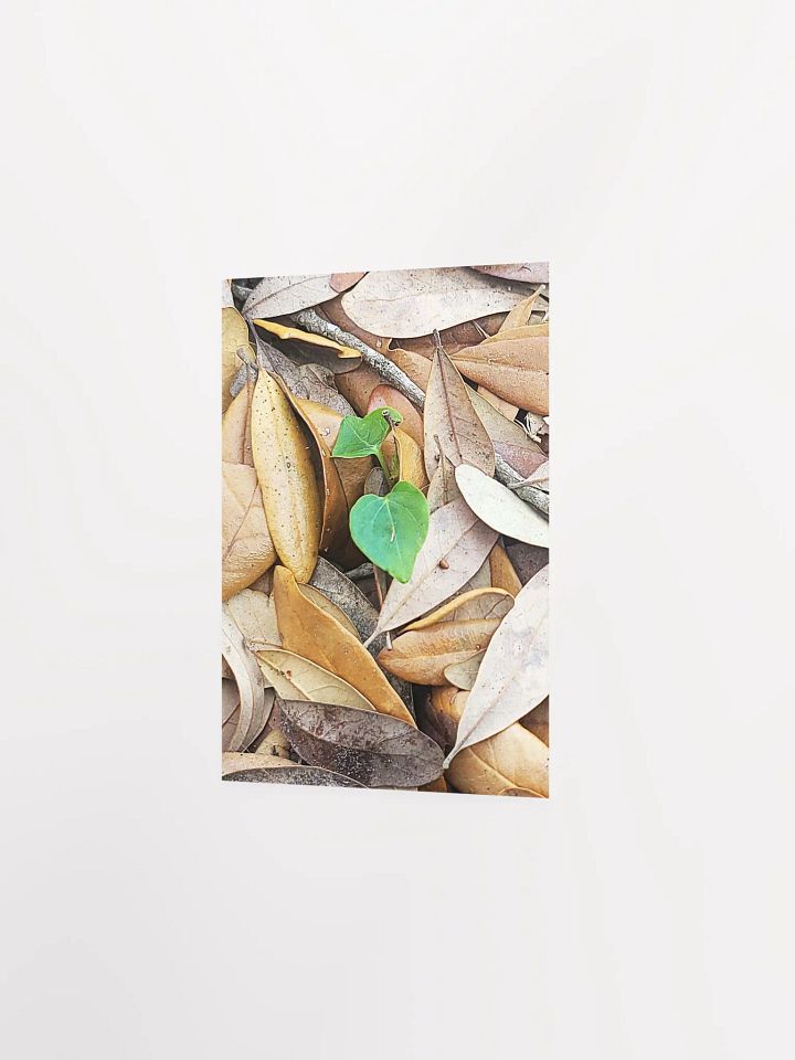 Life Amongst The Dead product image (20)