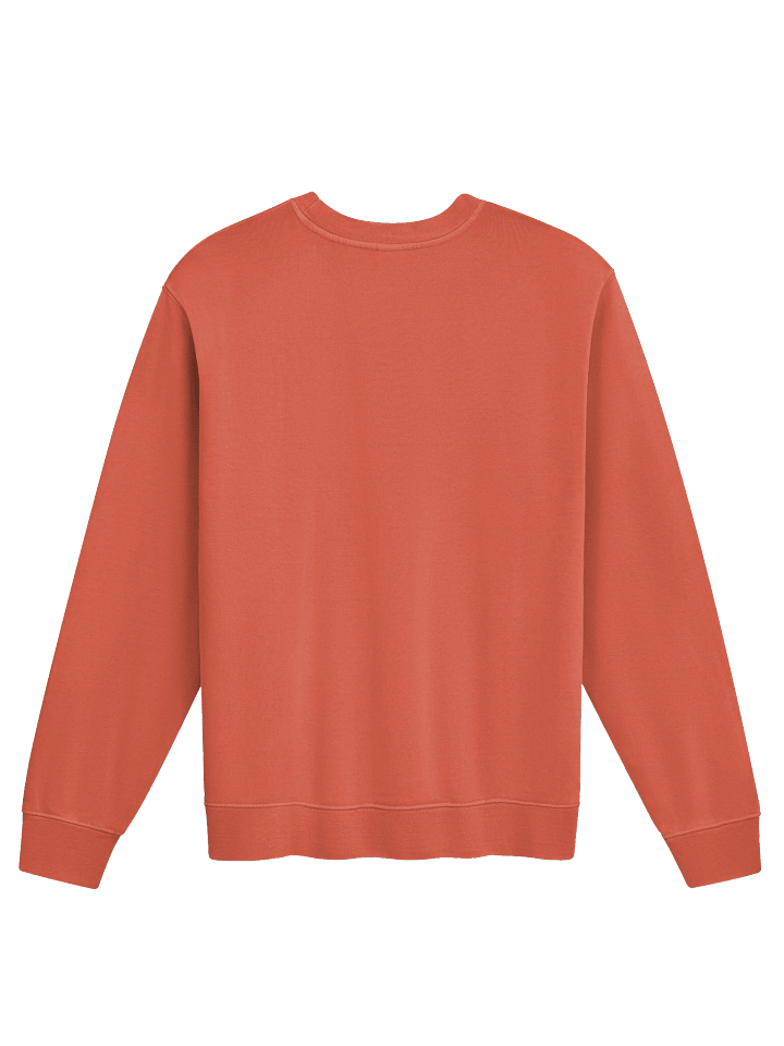 Ruidus Born - Sweatshirt product image (8)