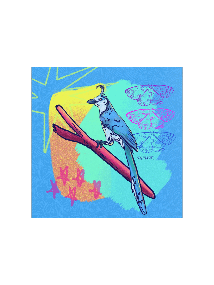magpie jay print product image (2)