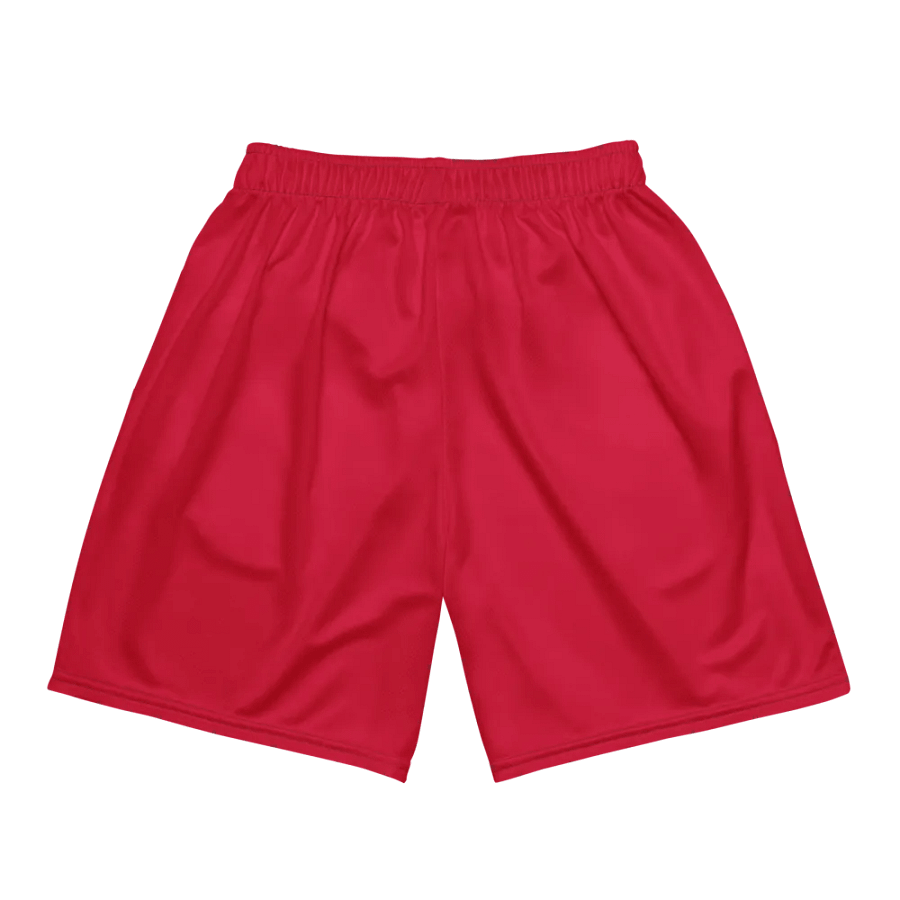 Scorpio Symbol All-Over Print Mesh Shorts product image (6)