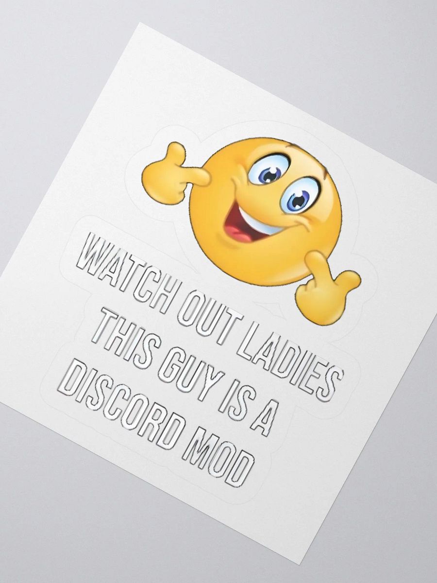 Watch Out Ladies This Guy Is A Discord Mod Sticker product image (2)