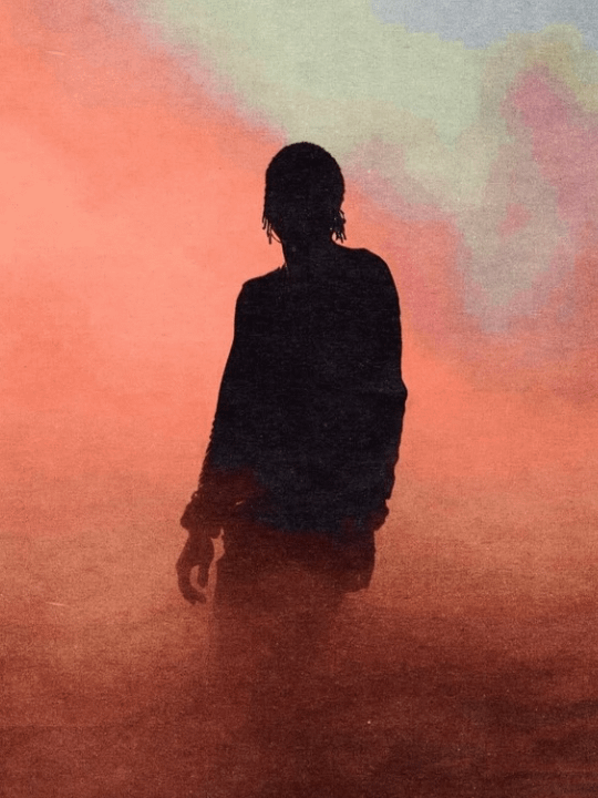 WAV product image (1)