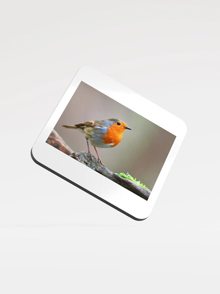 bird coaster product image (1)