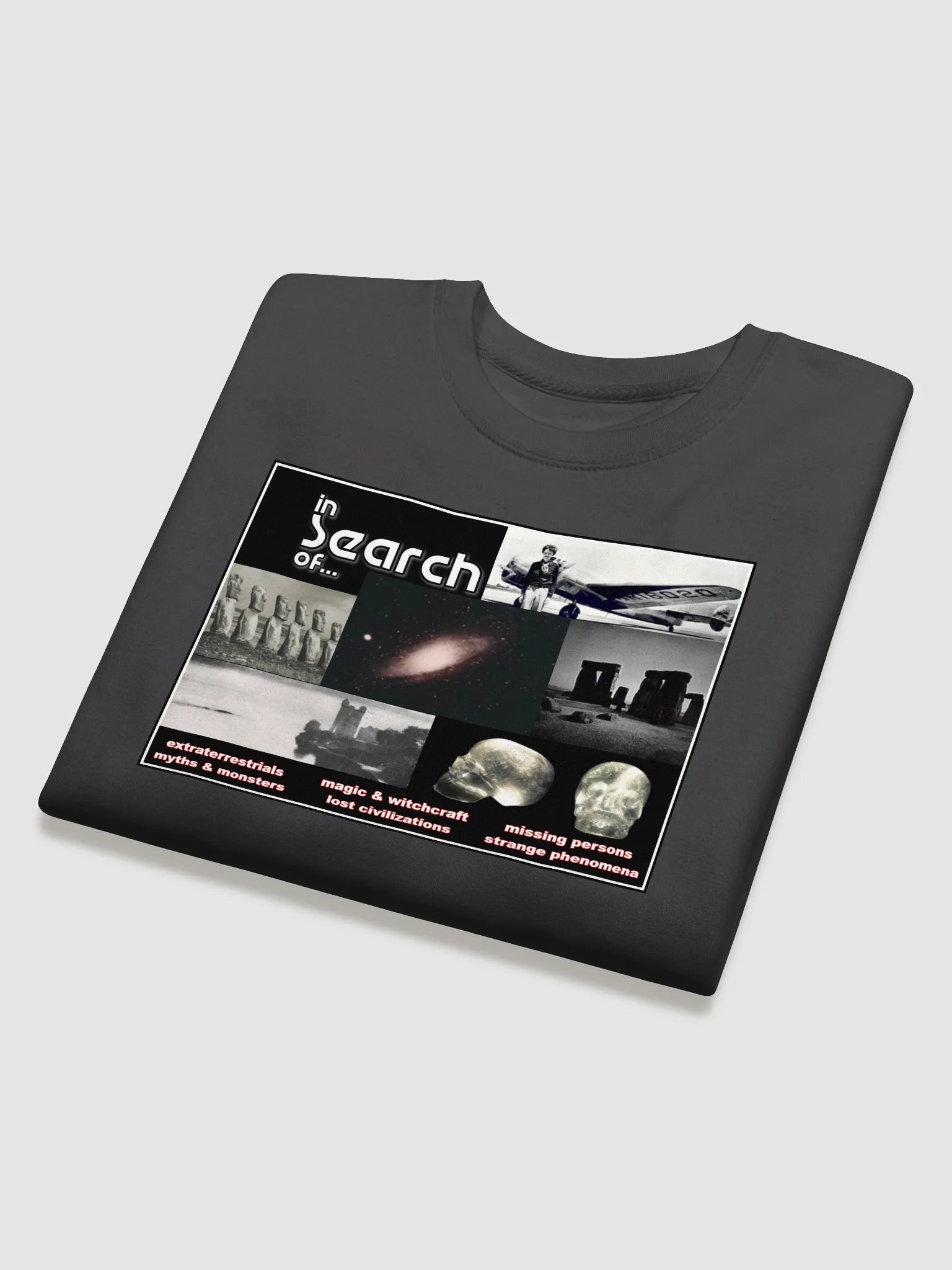 In Search of...Sweatshirt product image (4)
