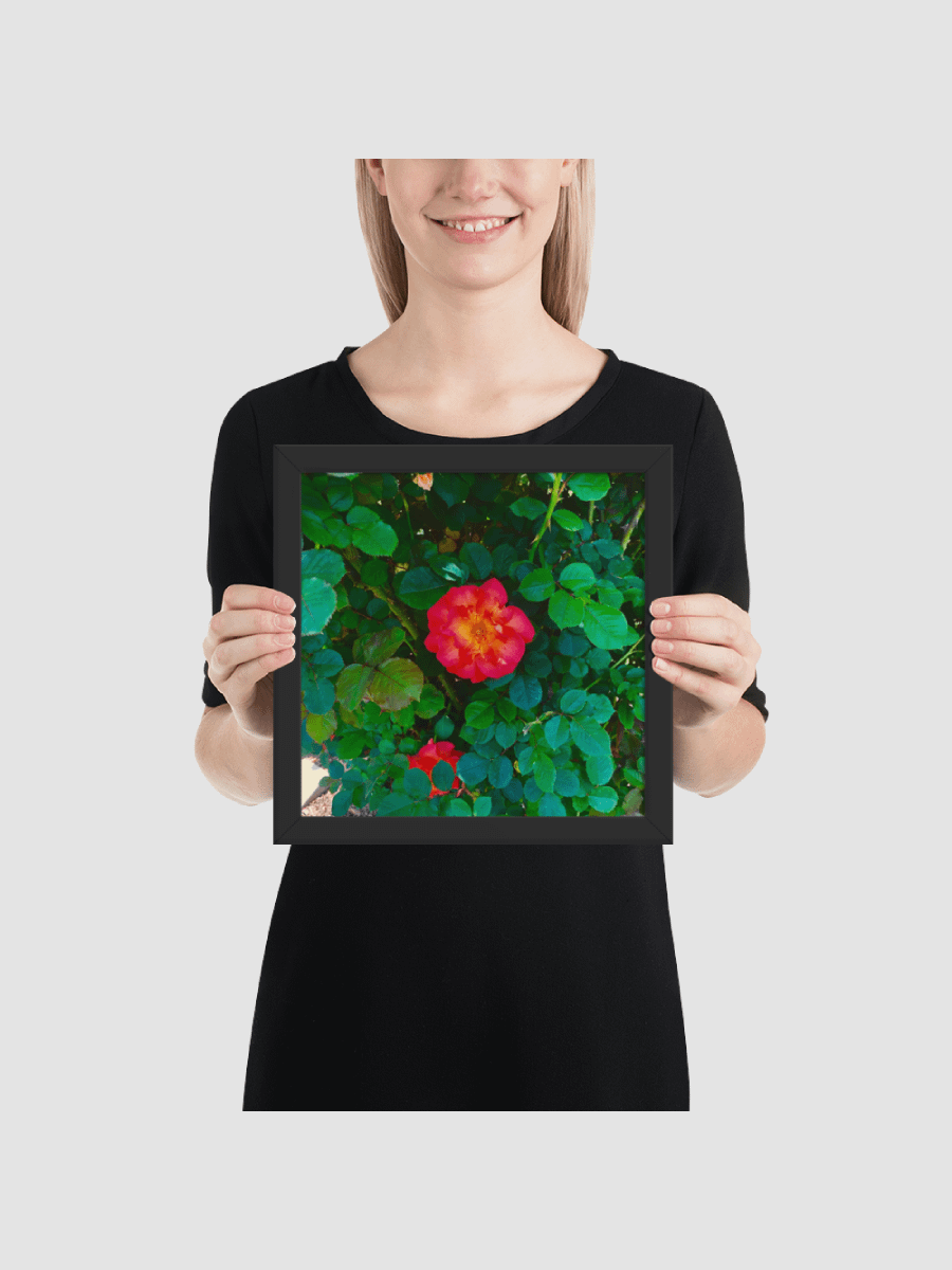 Gradient flower Framed photography Poster product image (1)