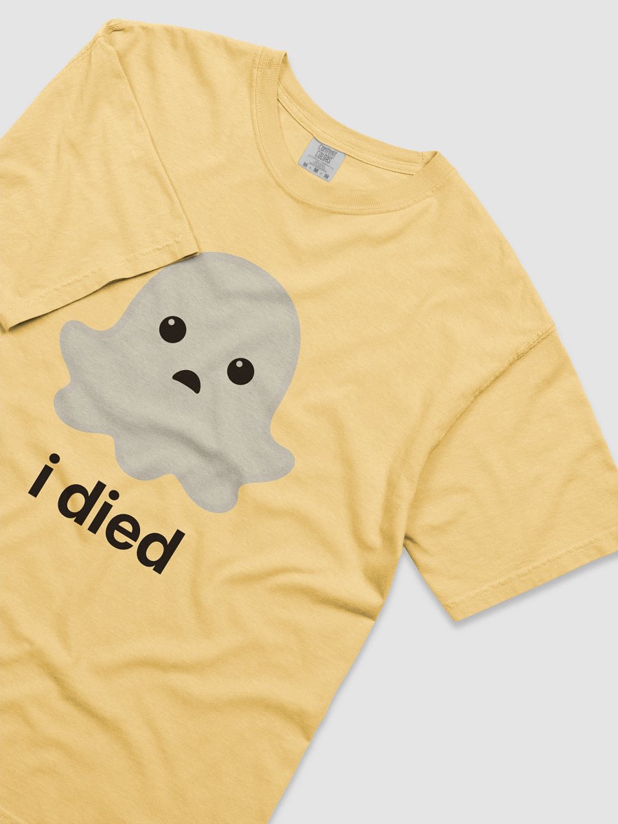 Sad Ghost Heavyweight Tee - Light Color product image (42)