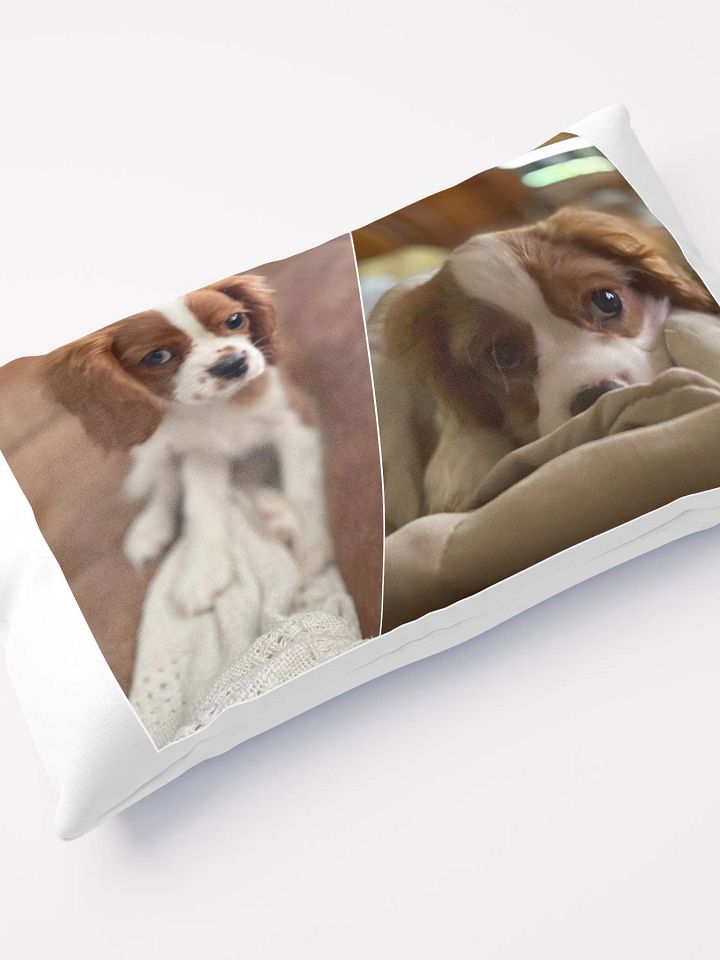 RBC Throw Pillow featuring Rio and Vienna product image (1)