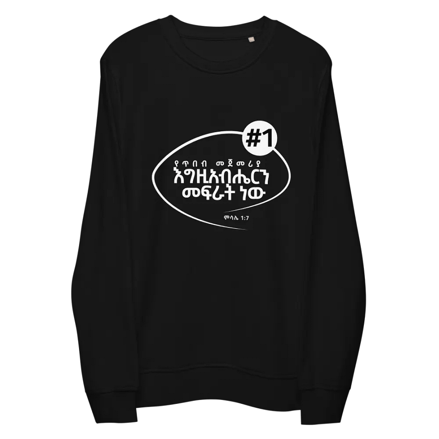'Proverbs 3:24' crewneck product image (11)